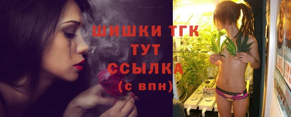 PSILOCYBIN Корсаков