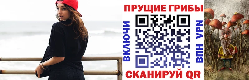 Псилоцибиновые грибы Cubensis хочу Курганинск