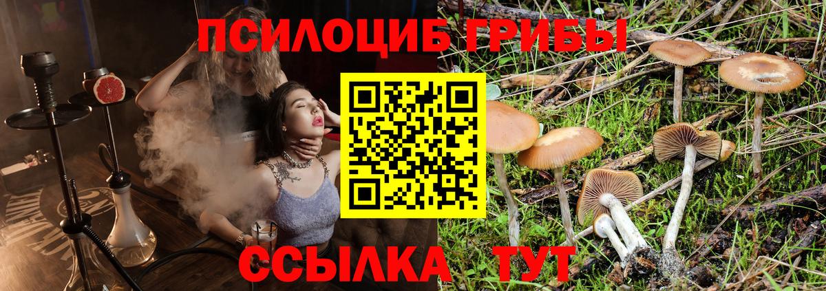 Курганинск  Псилоцибиновые грибы мухоморы  Вход с VPN 